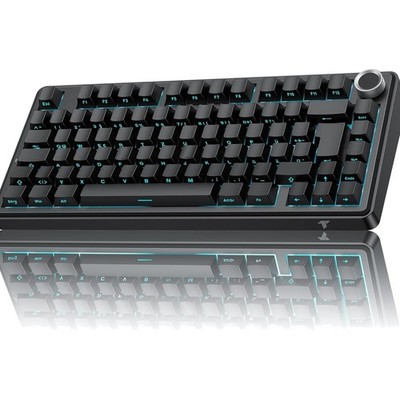 Gaming Tastatur Mechanisch 75% Hot-Swap RGB Funkverbindung QWERTZ Schwarz