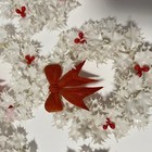 Bild 8 von 8