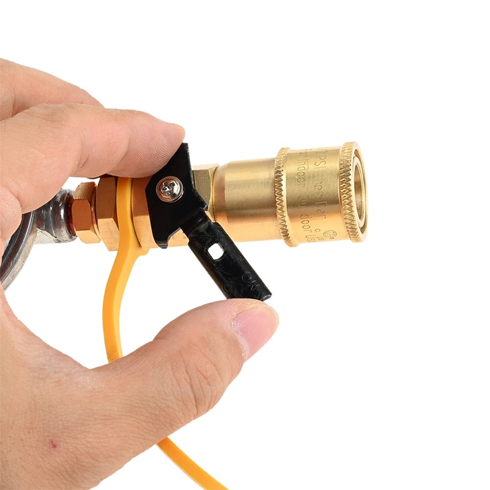 12 FT RV Quick-Disconnect Hose with 1/4 inch Quick Connect Valve Assembly