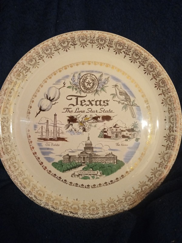 Vintage State Of Texas Collectors Plate Homer Laughlin/John Deal Hand Color 10in