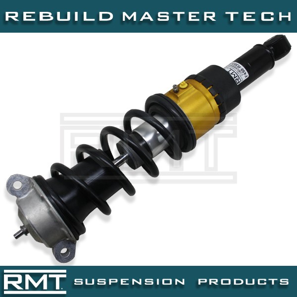 Ferrari 458 2009-2015 Front Right Damper P/N 301450