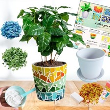 Adult DIY Mosaic Flower Pot Kit, Glass Tile Planter Craft with Step-by-Step I...