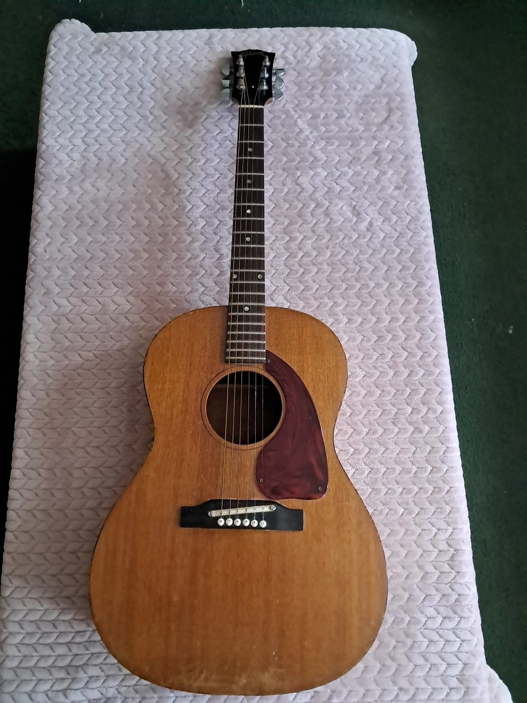 Picture 1 of 20