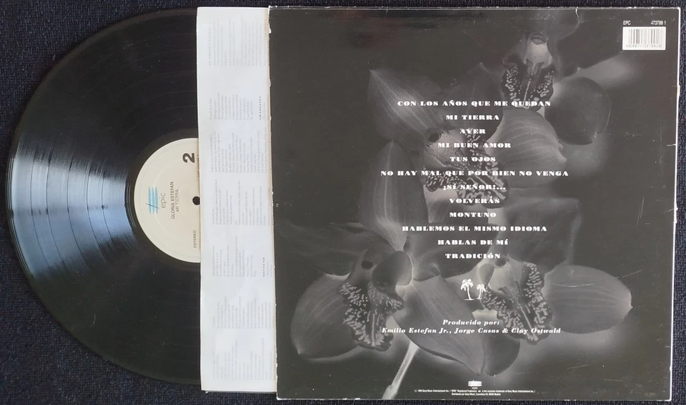 GLORIA ESTEFAN " MI TIERRA " 1993 LP WITH INNER SLEEVE - Image 2 of 4
