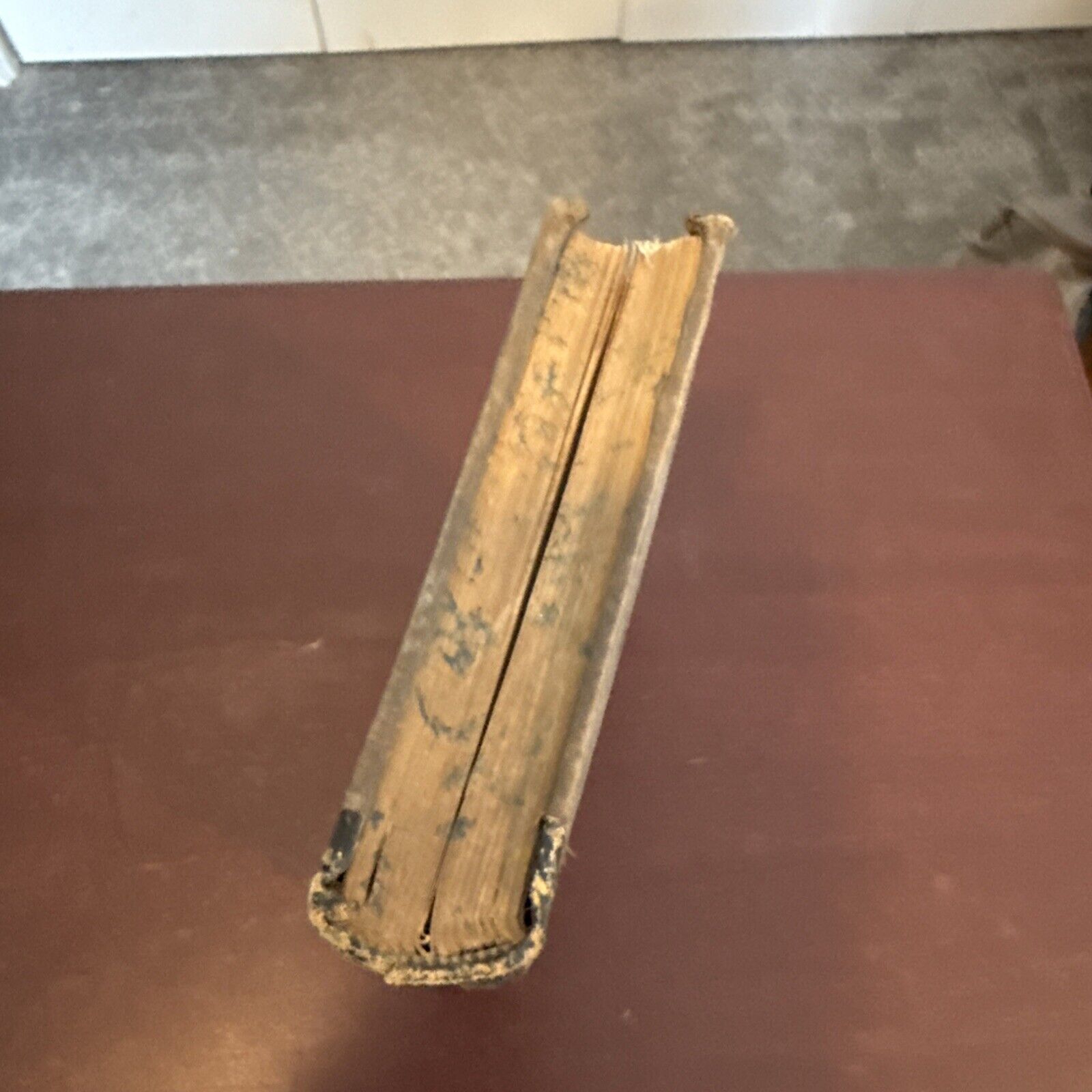 Picture 2 of 13
