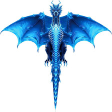 Dragon Kite for Kids and Adults, Easy to Fly for Beach