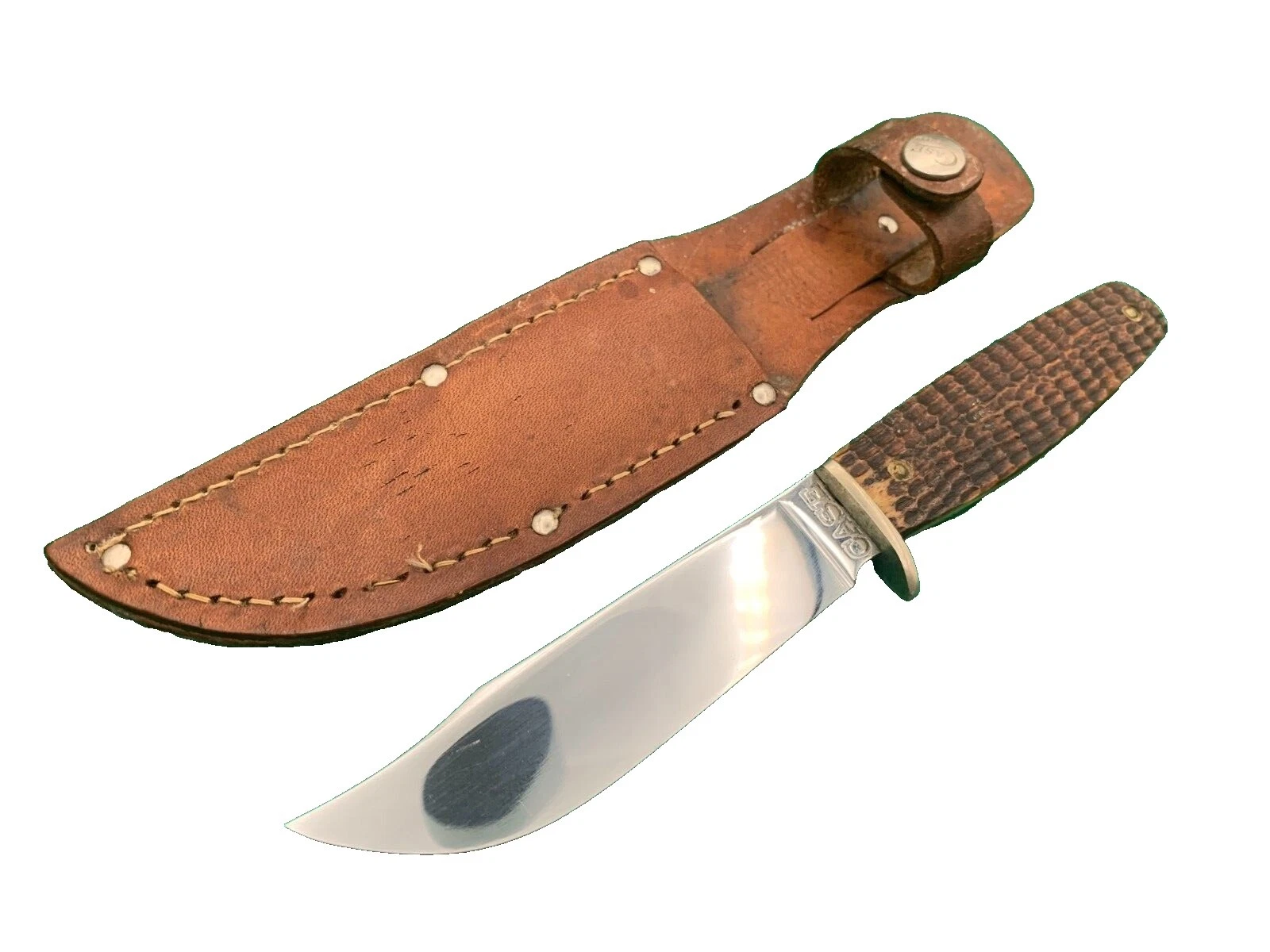 Case Plain Bone Handle Collectible Fixed Blade Knives