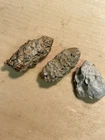 Three Dug Civil War Chewed Bullets Animal Chewed Teeth Marks North Ga Finds