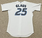 Game Used Worn 2007 Toronto Blue Jays #25 Troy Glaus Jersey — photo 2