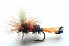 Royal Wulff, Dry fly fishing trout fly. Size 16