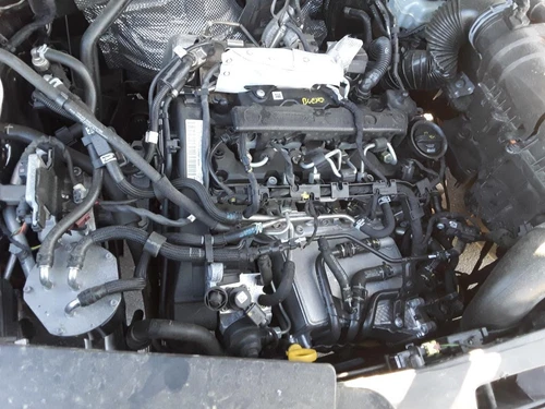8U0867306 Guarnecido Puerta Trasera Derecha para AUDI Q3 (8UG) básico 2 1689755 - Imagen 6 de 10