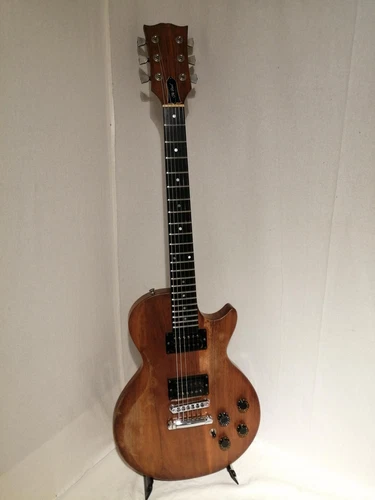 Gibson The Paul Electric Guitar Safe delivery from Japan