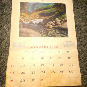 1962 Vintage Wall Calendar Pages Scenic Nature Wildlife Art Prints
