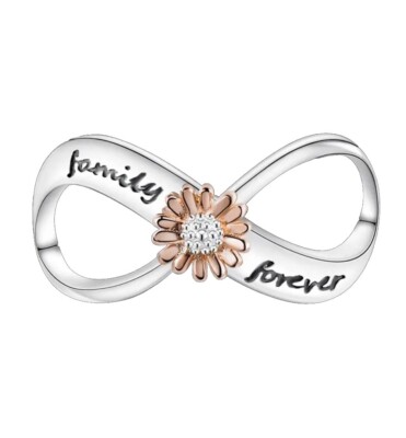 Weihnachtsgeschenk Infinity Family Forever Silber S925 Charm für Armband Halskette