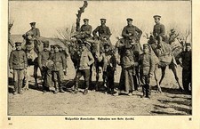 Bulgarische Kamelreiter im 1.Weltkrieg c.1916