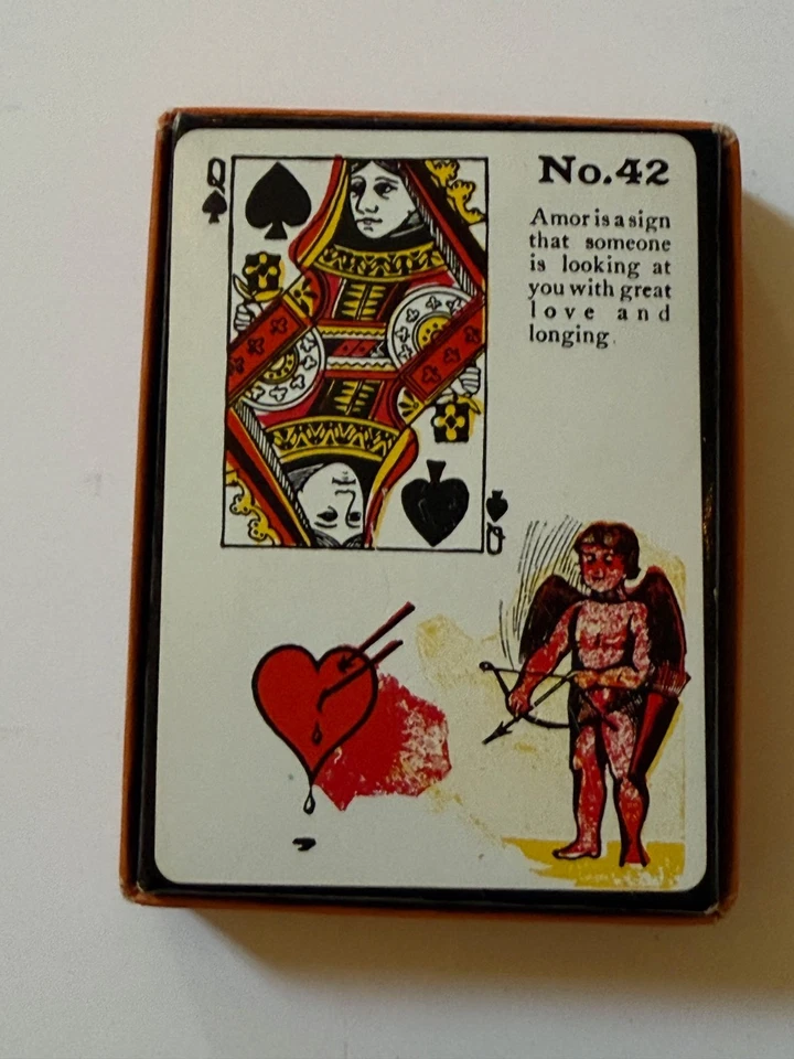 Mazo de cartas de adivinación bruja gitana de colección instrucciones de bromistas EE. UU. Foto 3 de 4