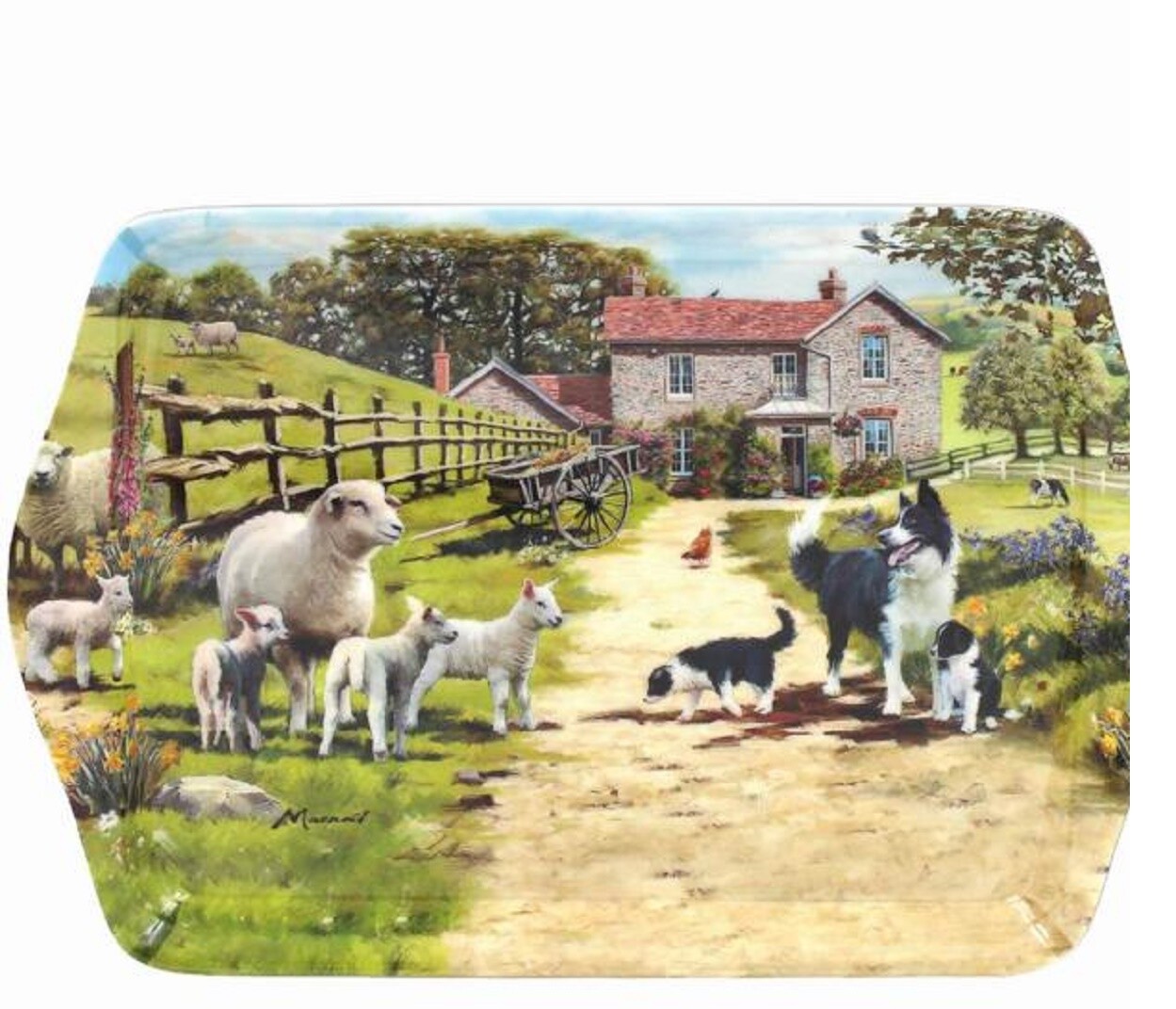 Pet Supplies Outlet eBay Stores