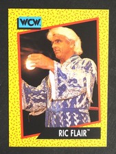 1991 IMPEL WCW Wrestling Ric Flair #36 