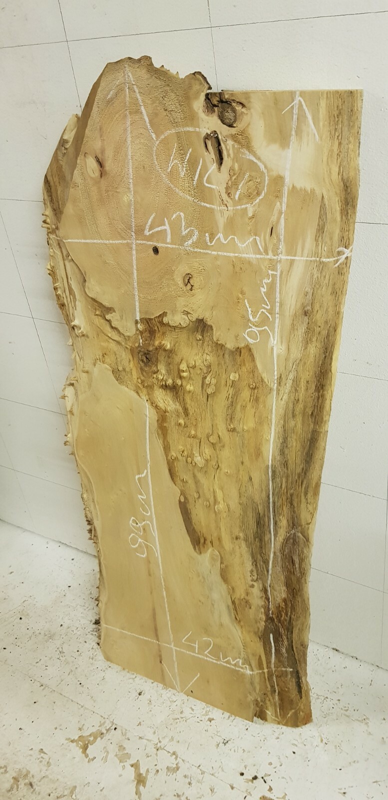 Bild 42 von 219