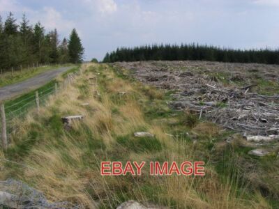 FOTO GLASFYNYDD WALD GLASFYNYDD WALD FÄLLFLÄCHE 2008