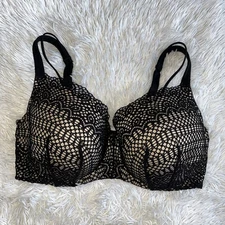Cacique Bra Womens Size 40F Black Lace Underwire Padded Adjustable Full Coverage