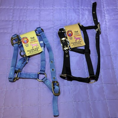 Lot of 2: NWT Hamilton Foal Halter 100-200lbs Nylon & Solid Brass, Blue & Black