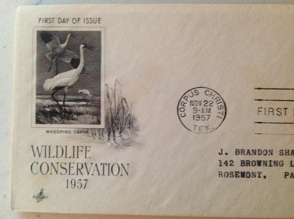 1957 Wildlife Conservation Cachet First Day Issue 3cents Stamp - Image 2 of 4