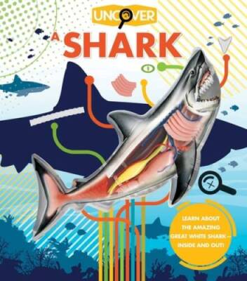 Uncover a Shark - Hardcover By Gordon, David George - GOOD