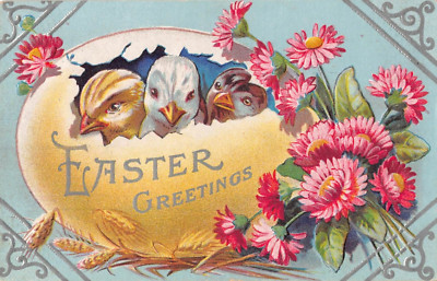 1910 Easter PC - Three Chicks Hatching from Big Yellow Egg by Pretty Pink Asters