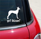 Got Ibizan? Ibizan Hound Dog Graphic Decal Sticker Art Car Wall