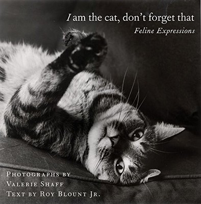 I AM THE CAT, DON'T FORGET THAT: FELINE EXPRESSIONS By Valerie Shaff & Roy NEW