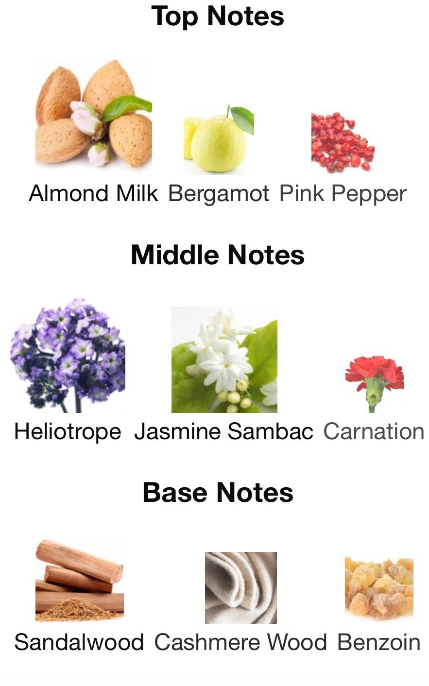 Michael Kors Wanderlust Eau De Parfum, Shower Gel & Body Lotion Gift Set 300 ML