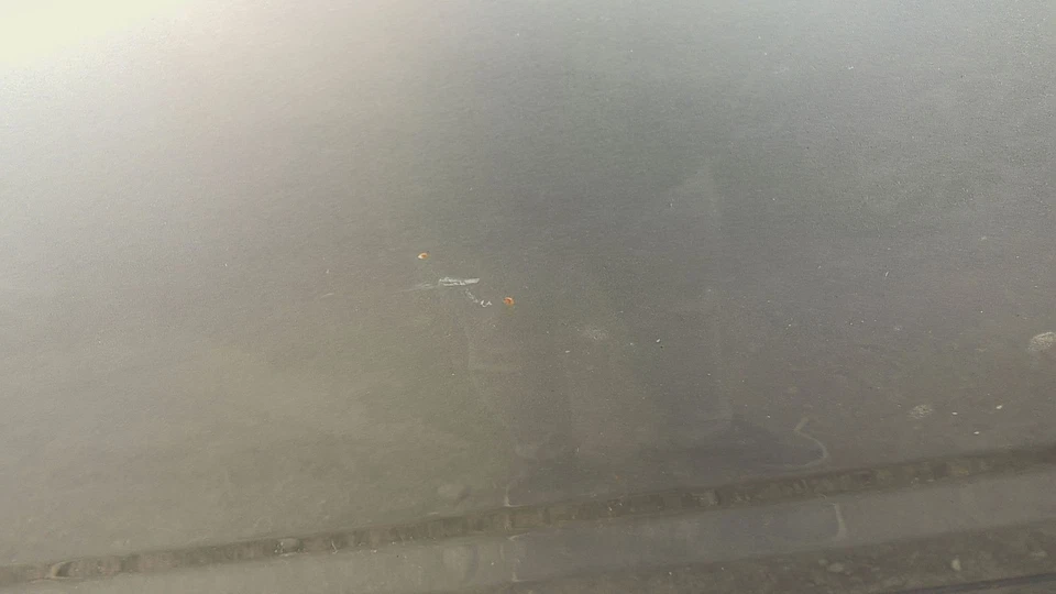 13 HONDA RIDGELINE Rear Door Drivers Side Foto 2 de 3