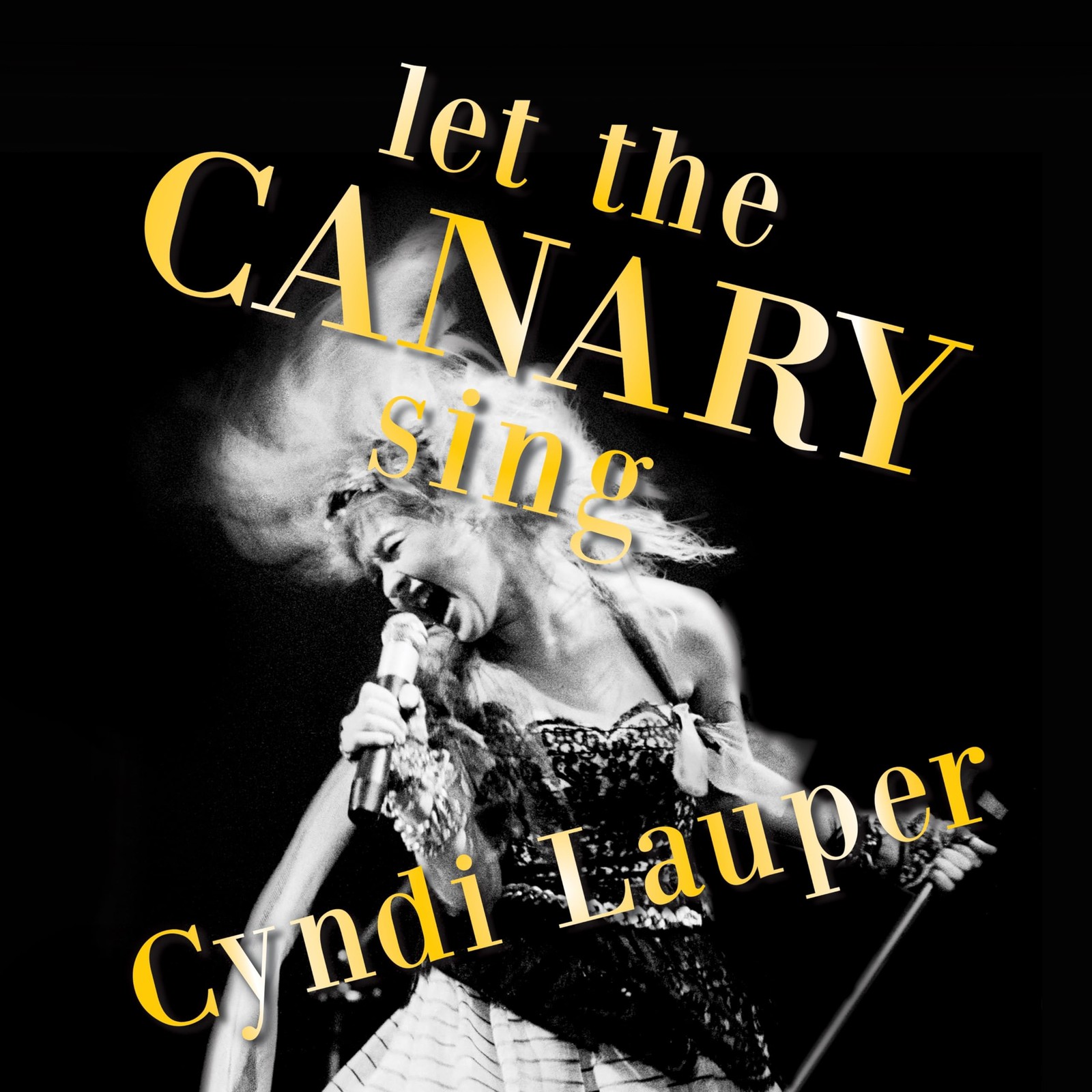 Cyndi Lauper Let the Canary Sing LP Vinyl NEW