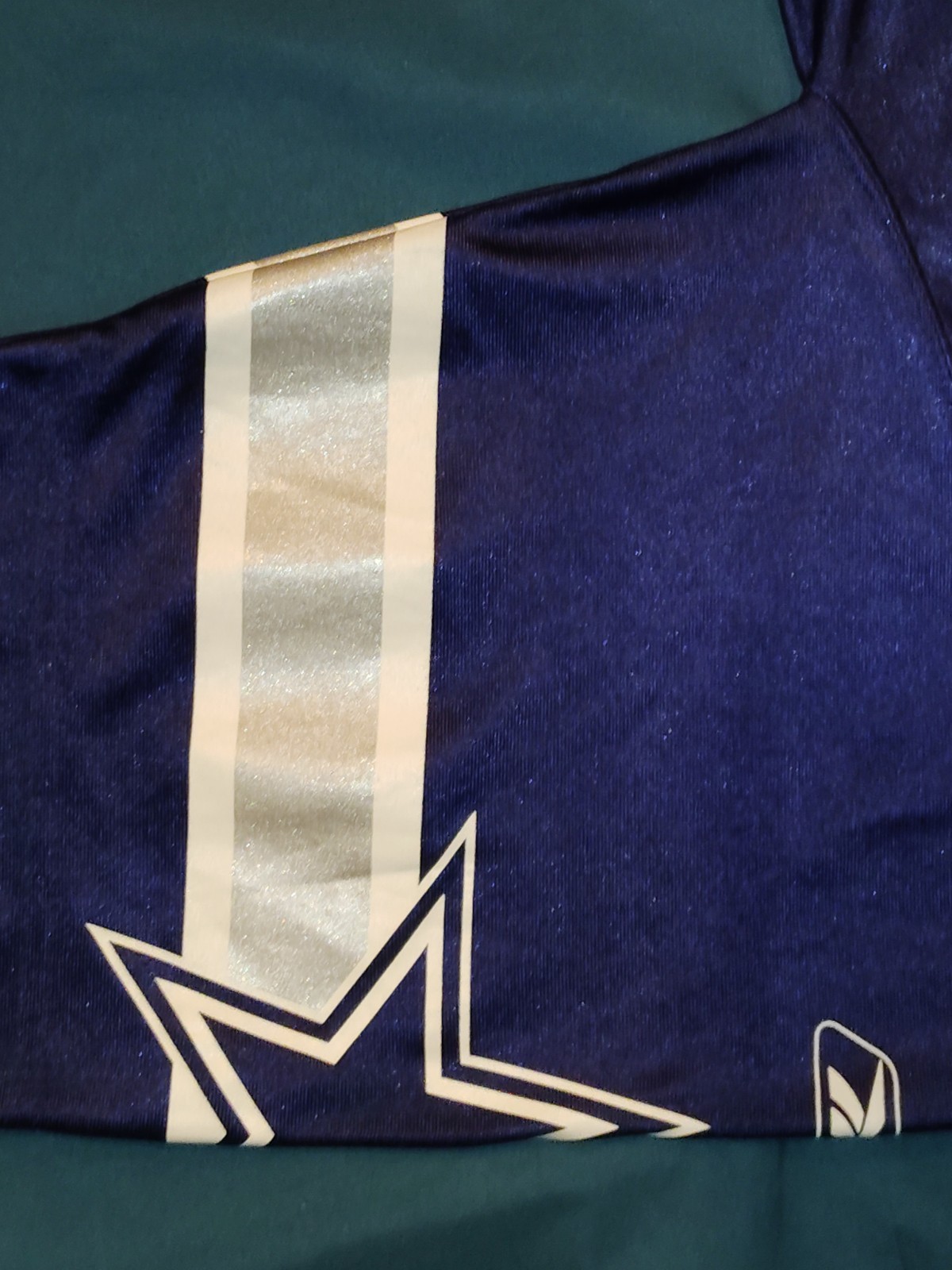 VINTAGE Dallas Cowboys Jersey Mens XL Blue Roy Williams 31 Reebok On Field Nylon thumbnail 5