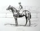 SEABISCUIT plus FREE bonus MAN O' WAR print!! FREE SHIP — photo 1