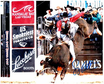 GREG POTTER Professional Bull Rider 