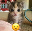 emm_376