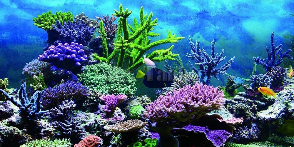 Fantasy Berg Blick PVC Aquarium Hintergrund Plakat Fantasy Aquarium Kulisse Prijs, erg populair