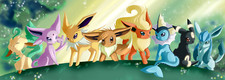 Pokemon eeveelution Pad Gaming Mat Desk