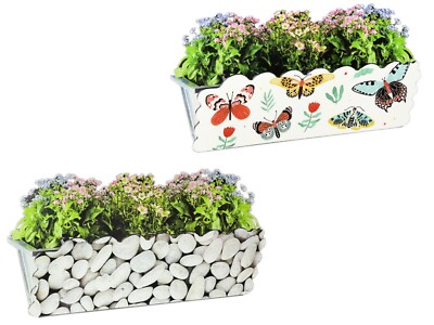rosen im blumenkasten Balkon Rosen Mischung