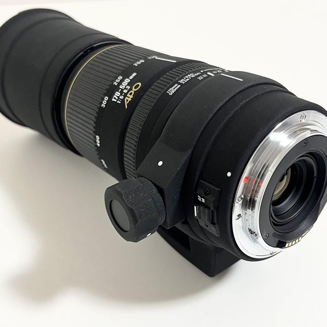 ✨超望遠レンズ✨SIGMA 170-500mm F5-6.3 APO Canon EXCELLENT] Sigma APO 170-500mm f/5-6.3 AF Zoom Lens for