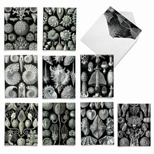 10 Assorted Thank You Note Cards Bulk Box Set 4 x 5.12 Inch with Envelopes 1...