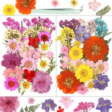 58 Pcs Pressed Flowers Kit Natural Dried Pink Flowers and Leaves for DIY Resin