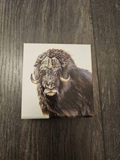 100 Dollar Kanada / Canada 1 Oz Unze Feinsilber (Wildlife Bison 2015)