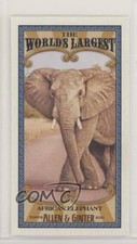2021 Topps Allen & Ginter's Mini World's Largest African Elephant #MWL-5 9r7