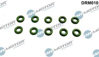 Dr.Motor Automotive Dichtring, DüSenhalter U.A. FüR Audi, Bmw, CitroËN