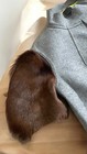 Bild 18 von 20