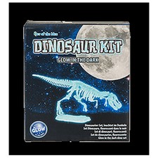NEW GLOW IN THE DARK DINOSAUR KIT KIDS DINO TOYS FIGURE SKELETON NIGHT XMAS GIFT