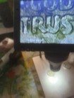 Bild 6 von 7
